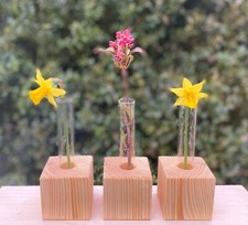 Blumenvase mit Reagenzglas