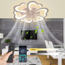 Deckenventilator mit