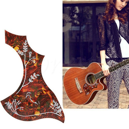 Akustische gitarre - akustische,