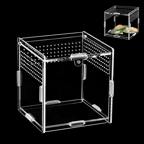 Acryl terrarium 10x10x10 - terrarium,