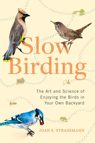 Slow birding the art and - birding,