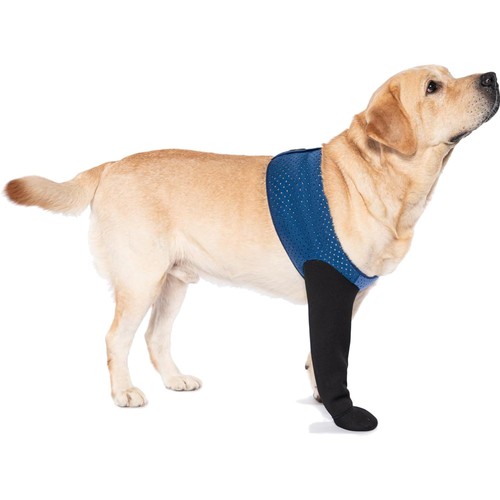 Hundesocken rutschfest schutz - rutschfest,