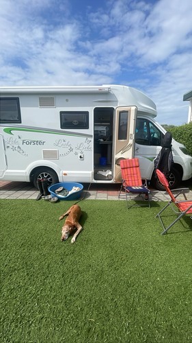 Wohnmobil forster 649 - forster,