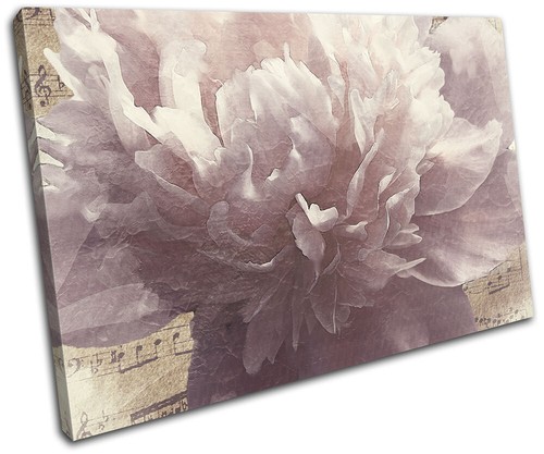 Vintage shabby chic blume - shabby,