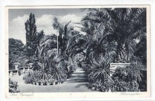 AK Bad Pyrmont, Palmengarten
