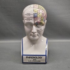 Großer Phrenologie Porzellan