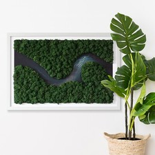 Bild mit natürlichem moos - bild,