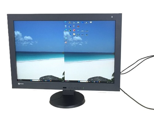 Eizo radiforce rx440 - eizo,