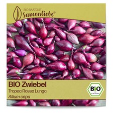 BIO Zwiebel Samen Sorte Tropea