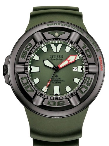 Citizen promaster professional - promaster,