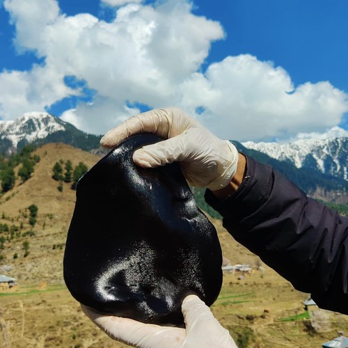 Shilajit großhandel - shilajit,