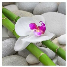 levandeo Glasbild 30x30cm