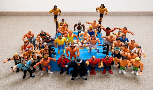 Wwf wwe hasbro 41x - wwe,