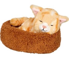 Die Spiegelburg Schlafende