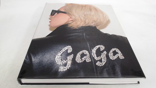 Lady gaga x terry - x,