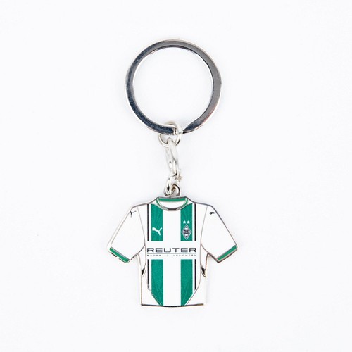 Vfl borussia mönchengladbach - vfl,
