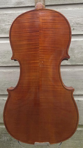 Makellose violine stark - makellose,