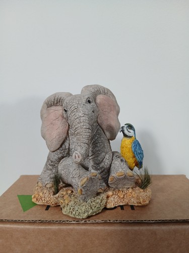 Stoßzähne elefant papagei - stoßzähne,