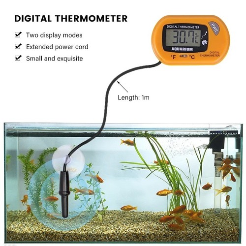 Thermometer aquarium terrarium - thermometer,