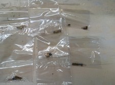 9x Fleischmann  Schleifkohlen