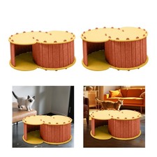 Katzentunnelbett, Versteck