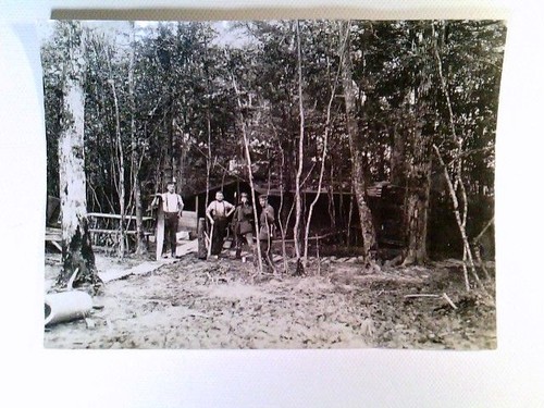 Soldaten bautrupp im wald - im,