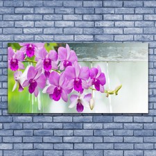 Wandbilder glasbilder druck - wandbilder,