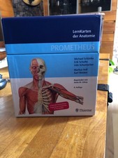 Lernkarten der Anatomie