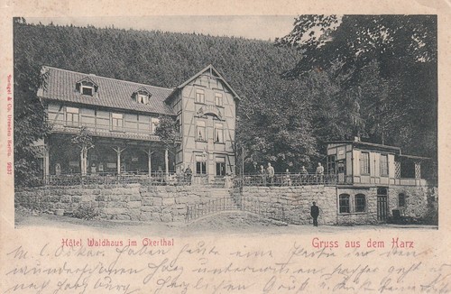 Hotel waldhaus okertal - waldhaus,