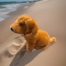 Steiff junghund dackel sehr - junghund,,