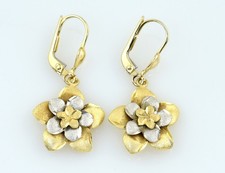 Ohrringe Hänger 585/000 14 K