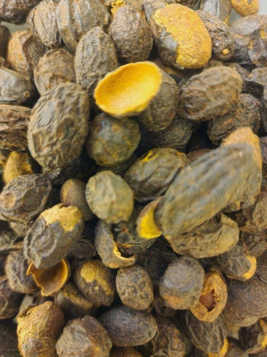 Wild geerntete