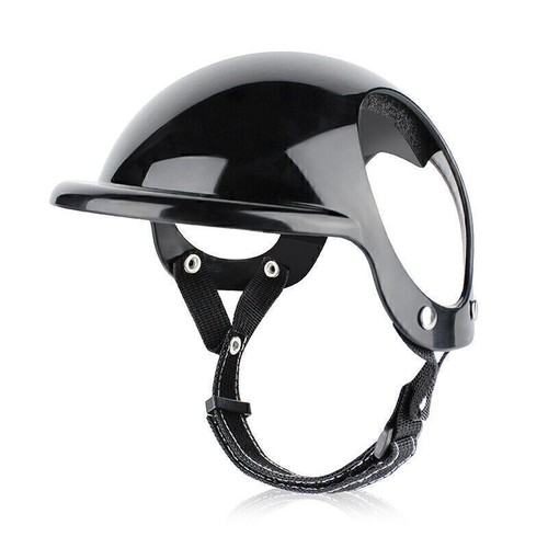 Haustiere motorrad sicherheit - haustiere,