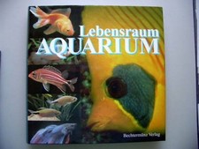 Lebensraum Aquarium Süß-