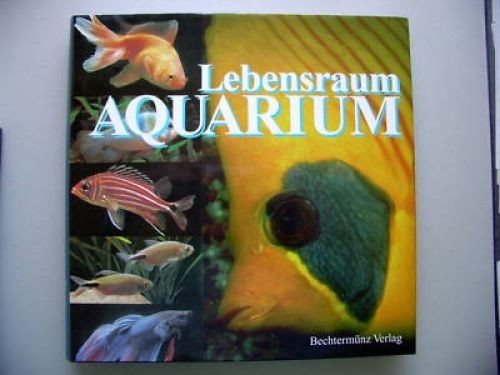 Lebensraum aquarium süß - aquarium, süß-