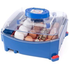 Borotto automatische LUMIA 16