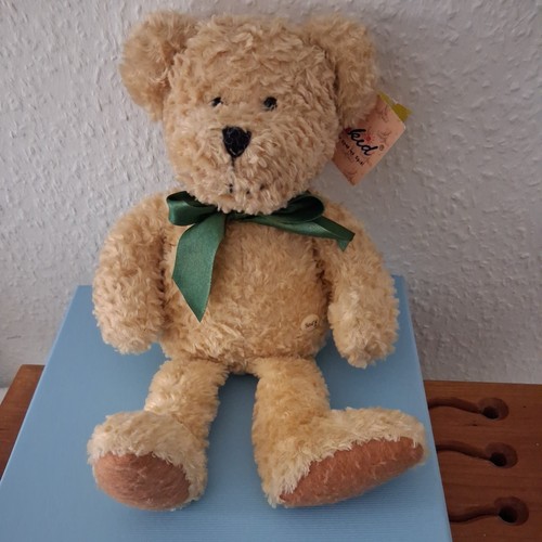 Sunkid teddybär mit grüne - teddybär,