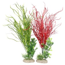 Aqua Della Aquariumpflanze Lily Gras 50 cm Dekoration Aquarium Terrarium