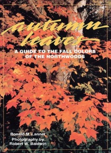 Autumn leaves guide fall - leaves:, to