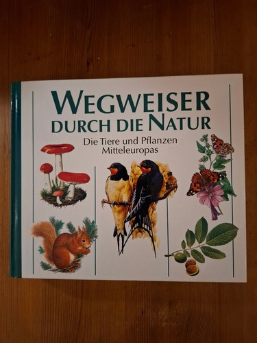 Wegweiser durch die - durch,