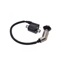 Zündspule für Longjia