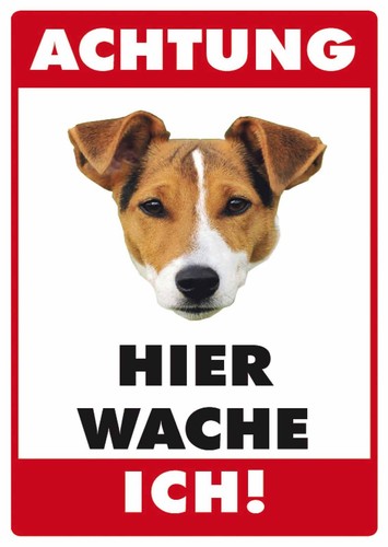 Achtung jack russel - jack, terrier
