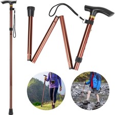 Gehstock, Wanderstock