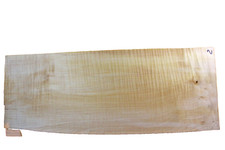 Rigelahorn tiger maple