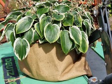 4x Sandsäcke Hochwasserschutz Jute Jutesack Pflanzenschutz Frostschutz 40x200cm