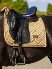 Equestrian Stockholm Midsummer