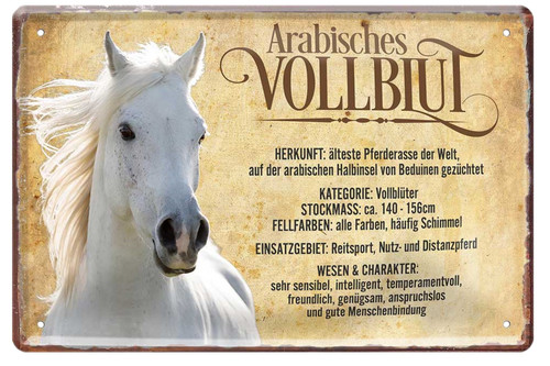 Arab vollblut 20x30cm - ''arab, vollblut''