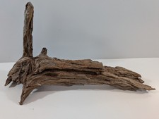 Mangrovenwurzel #41 (LBH ca