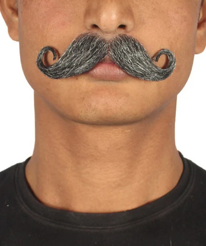 Herren grau lenker schnurrbart - lenker,