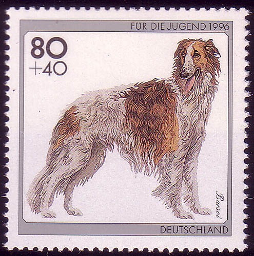1836 jugend hunderassen - jugend,